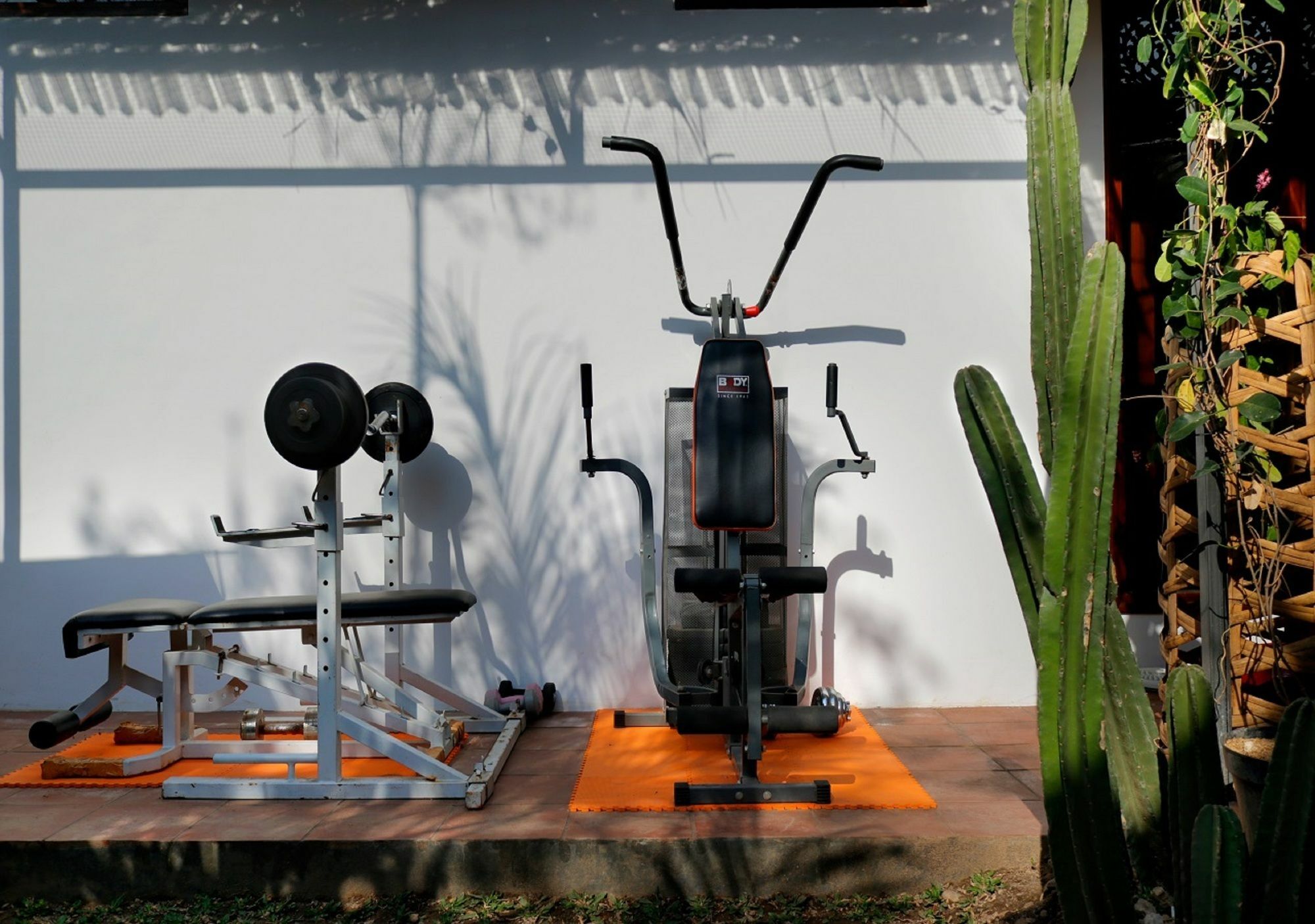 Bali Bee House Hotel Kerobokan  Ngoại thất bức ảnh